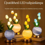 LED izzók